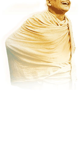 Swami Krishnananda